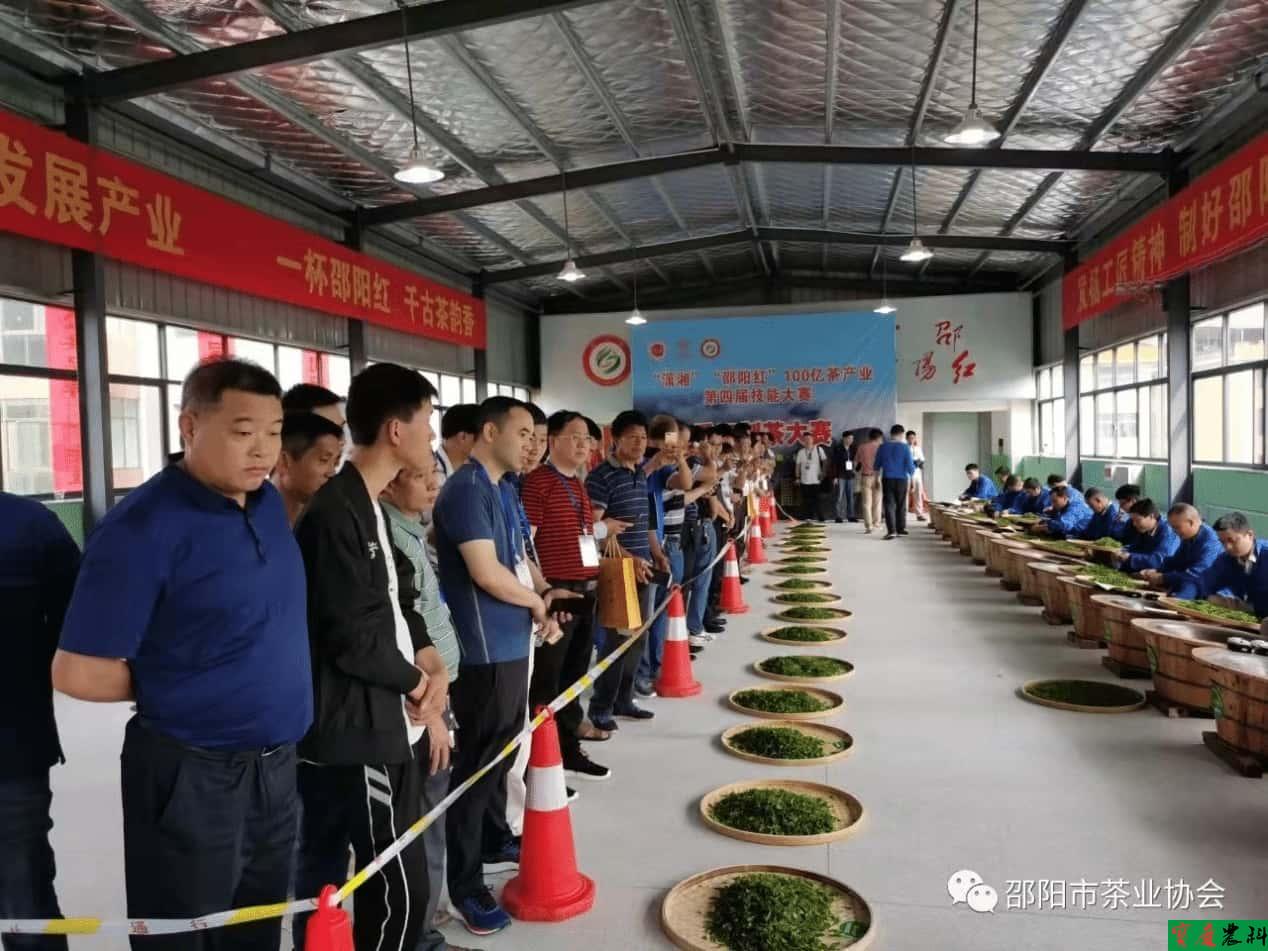农科院院长罗华指导茶叶技能大赛-tuya.jpg