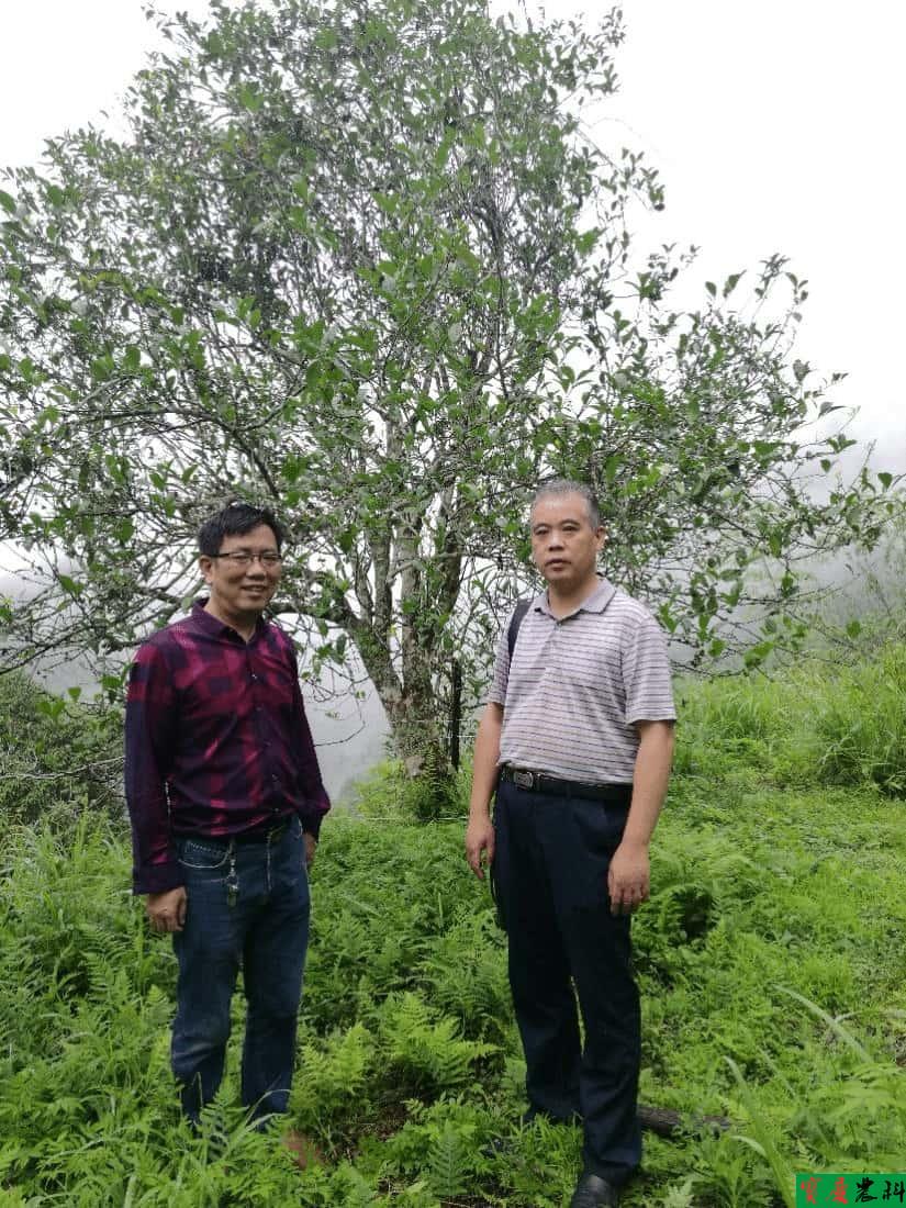 陪同邵阳市农业农村局种植业科科长信和文做资源调查-tuya.jpg