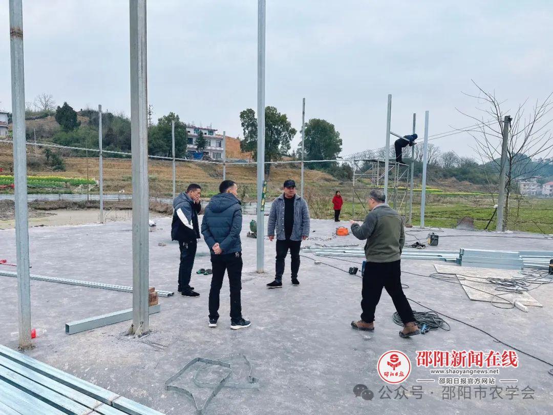 20240306“棚”勃朝气好“苗”头4.jpg