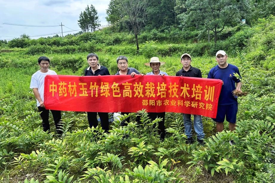 科技赋能：市农科院专家为乡村振兴帮扶村中药材基地把脉问诊2.jpg
