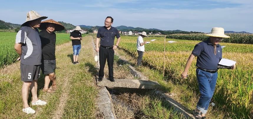 20240712省水稻专家督导组来邵阳市农科院粮油所检查指导工作2.jpg