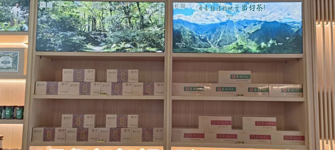图片8.jpg